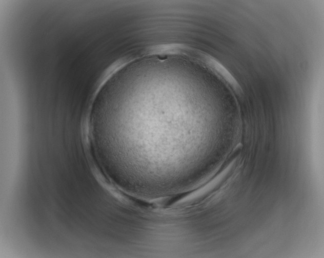 X0000115730994200911191408