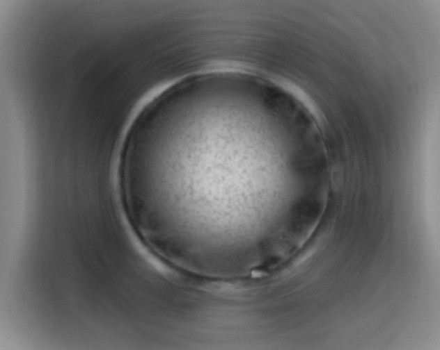 X0000115730995200911191408