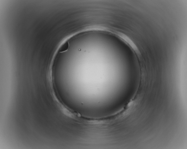 X0000115730996200911191408