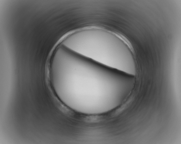 X0000115731000200911191408