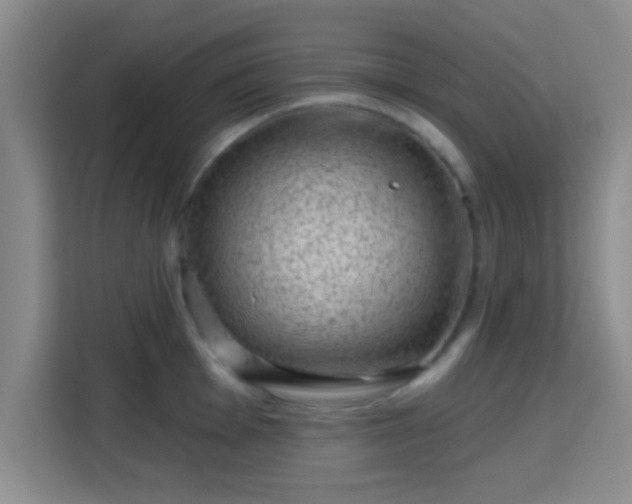 X0000115731001200911191408