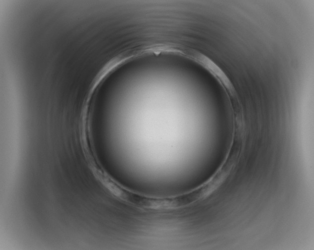 X0000115731002200911191408