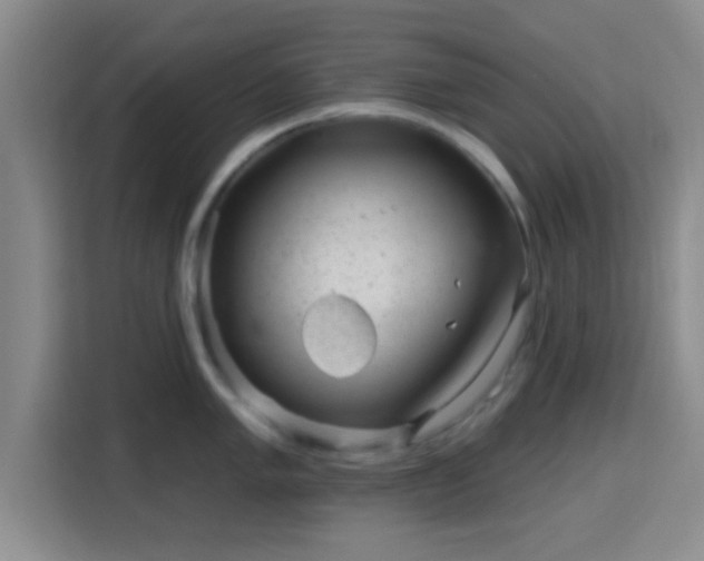 X0000115731005200911191408