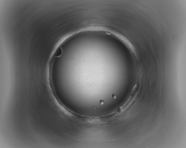 X0000115731006200911191408