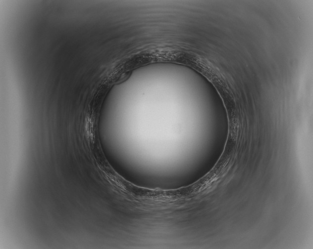 X0000115731010200911191408