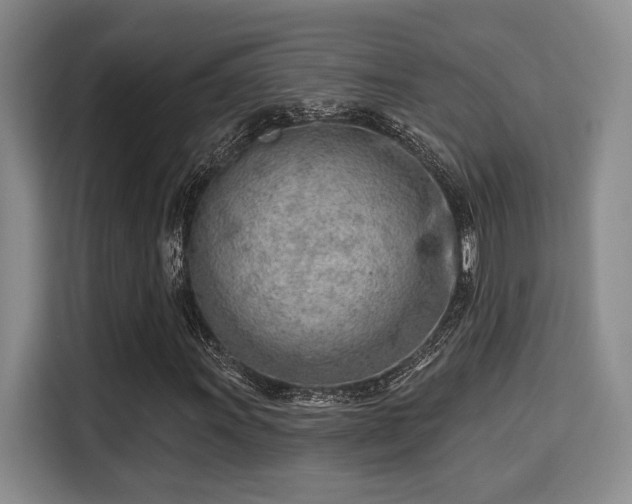 X0000115731011200911191408