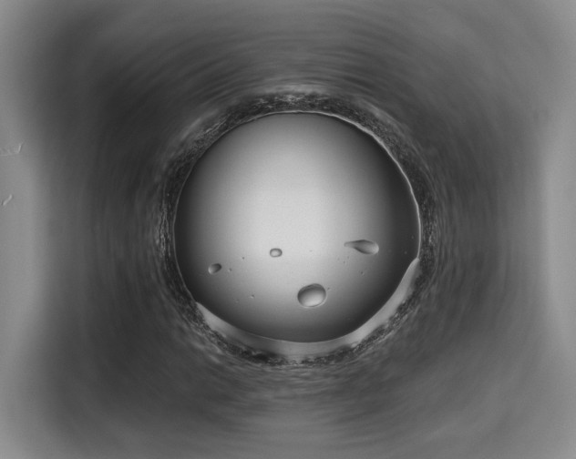 X0000115731014200911191408