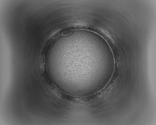 X0000115731015200911191408