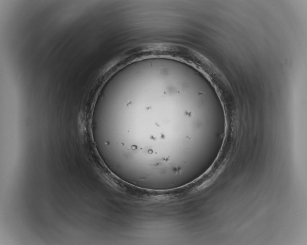 X0000115731017200911191408