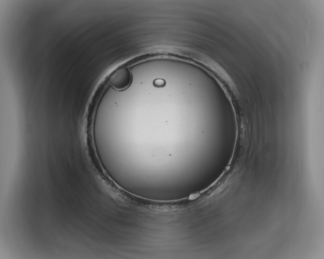 X0000115731020200911191408