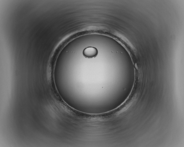 X0000115731021200911191408