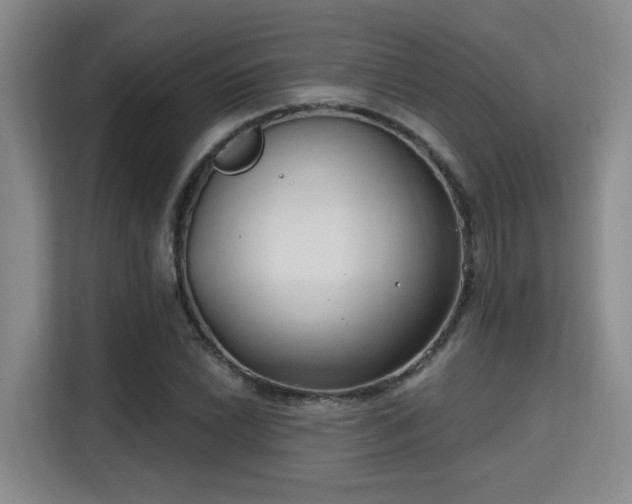 X0000115731022200911191408