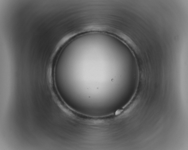 X0000115731030200911191408