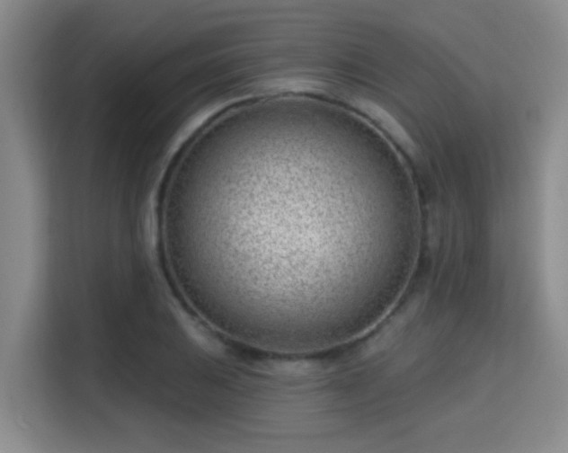 X0000115731031200911191408