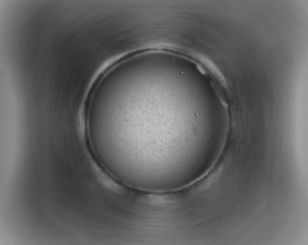 X0000115731032200911191408