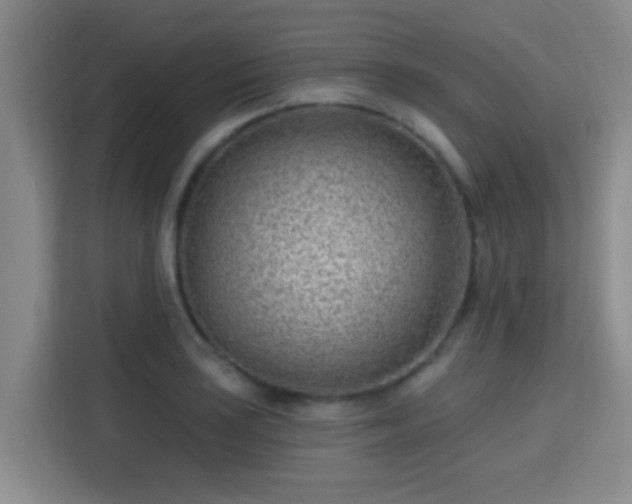 X0000115731035200911191408