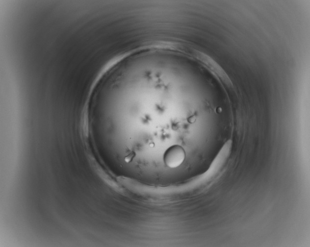X0000115731036200911191408