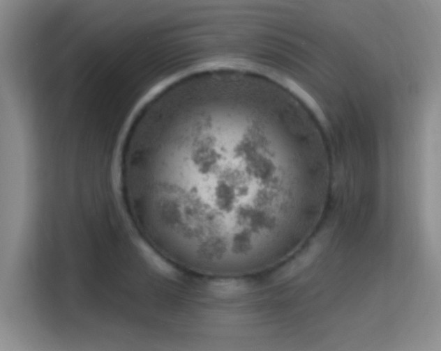 X0000115731037200911191408