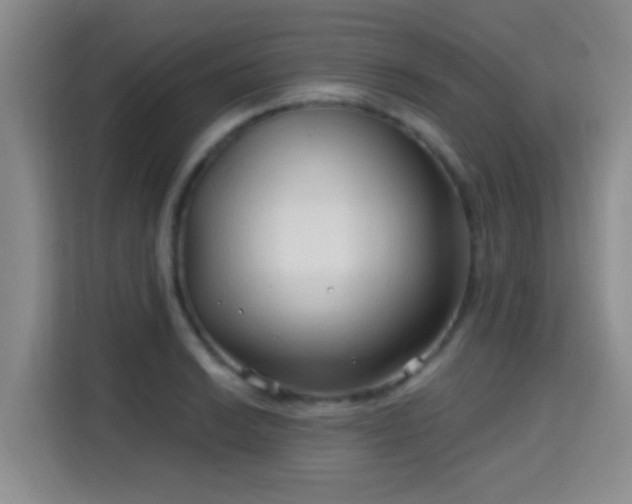 X0000115731038200911191408