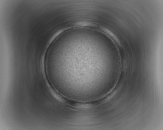 X0000115731039200911191408