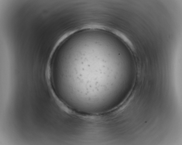 X0000115731040200911191408