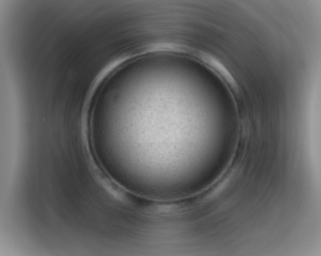 X0000115731043200911191408