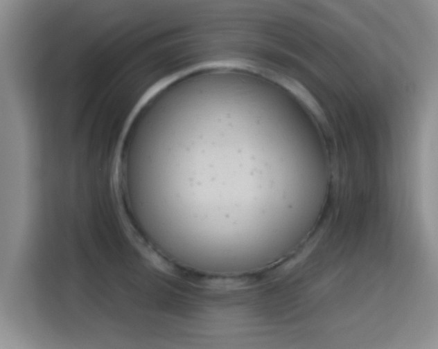 X0000115731044200911191408