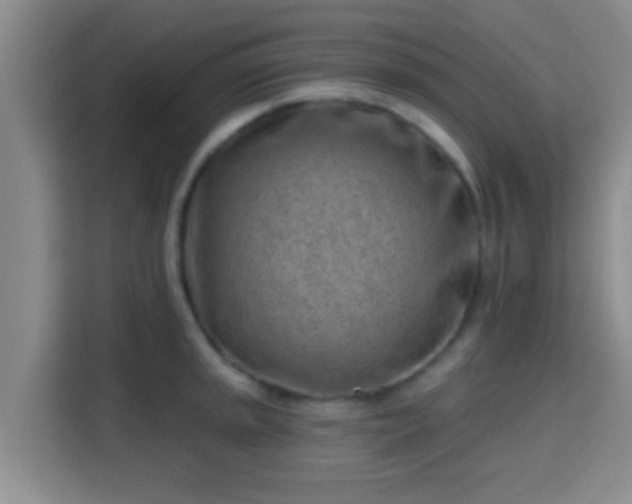 X0000115731045200911191408