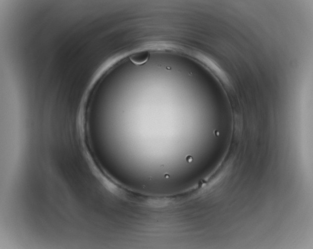 X0000115731046200911191408