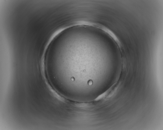 X0000115731048200911191408