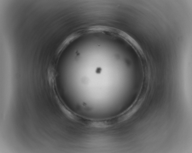 X0000115731049200911191408