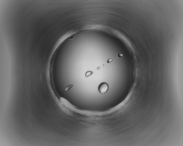 X0000115731050200911191408