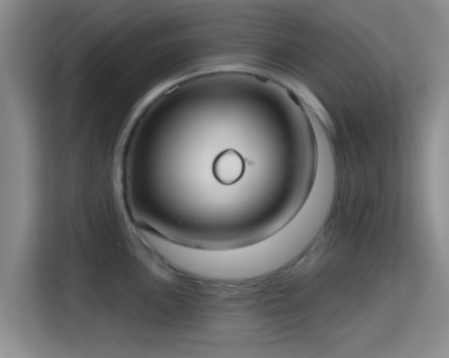 X0000115731051200911191408