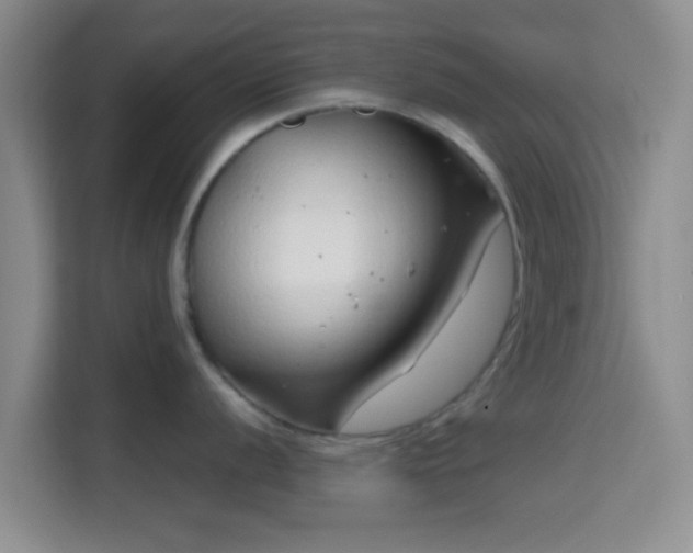 X0000115731056200911191408