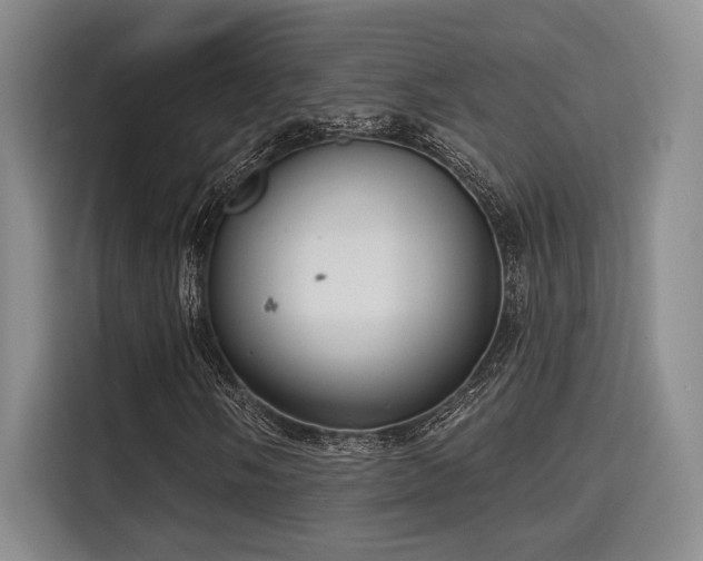 X0000115731058200911191408