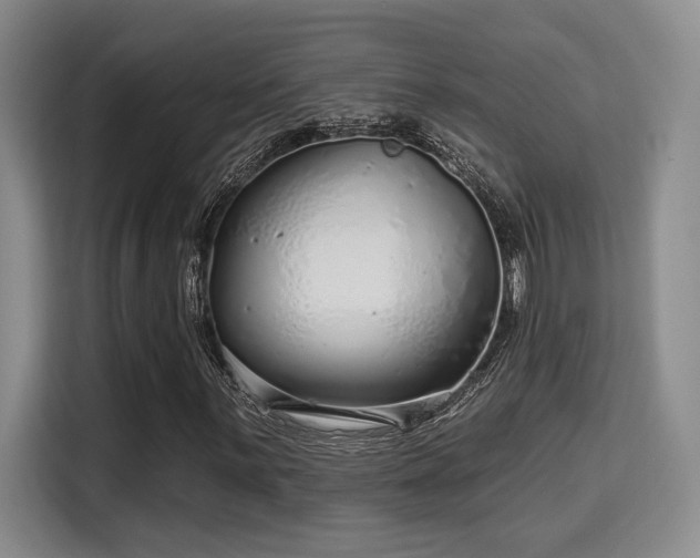 X0000115731059200911191408