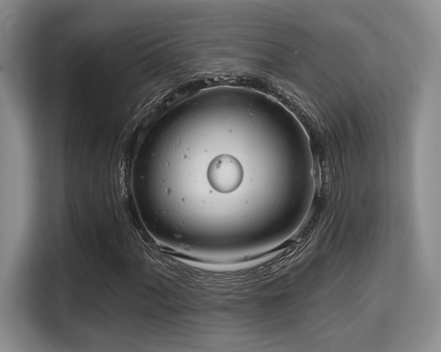 X0000115731060200911191408