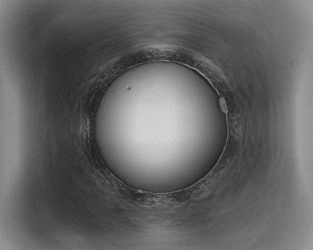 X0000115731061200911191408