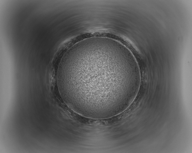 X0000115731063200911191407