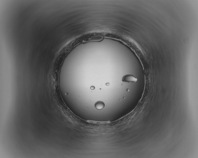 X0000115731064200911191407