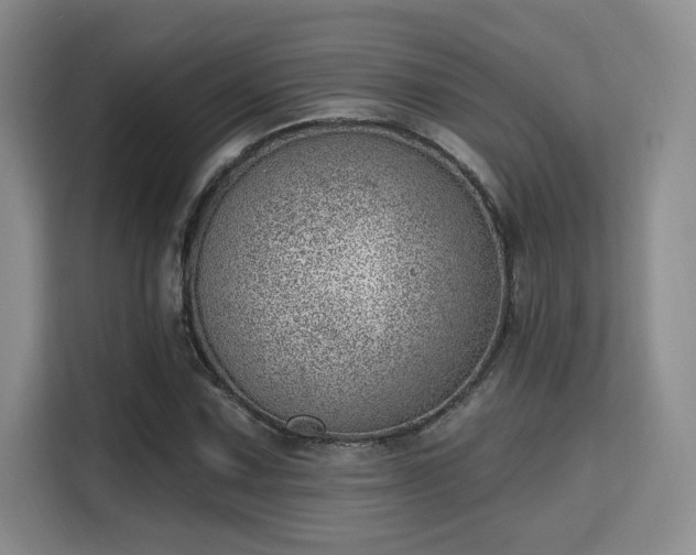 X0000115731067200911191407