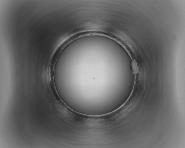 X0000115731069200911191407