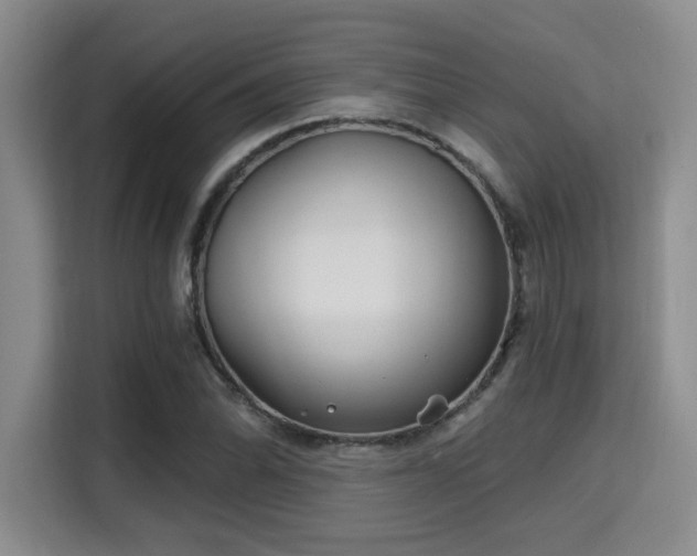 X0000115731070200911191407