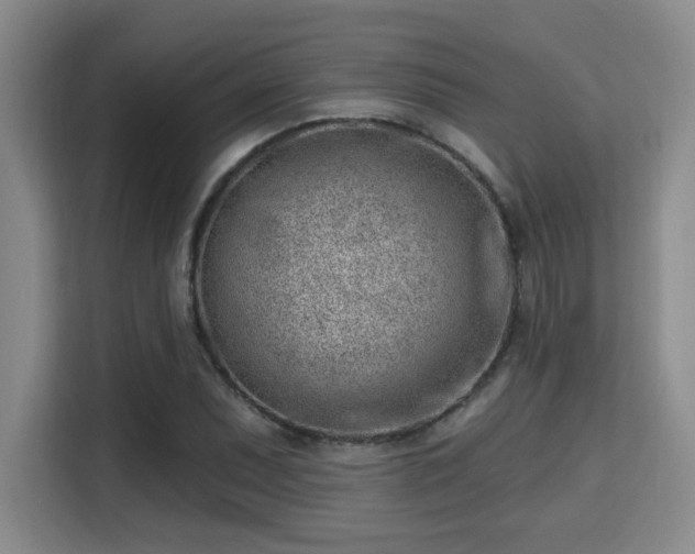 X0000115731071200911191407