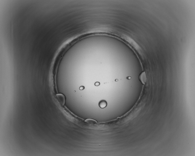 X0000115731072200911191407