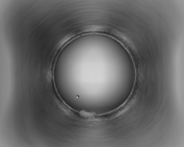 X0000115731073200911191407