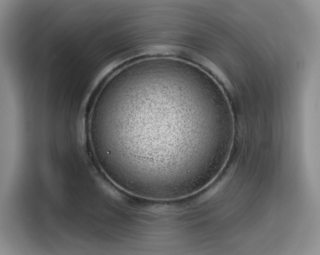 X0000115731075200911191407