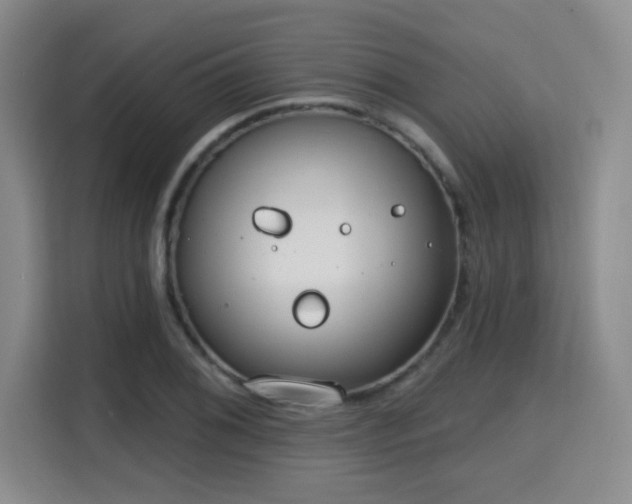 X0000115731076200911191407