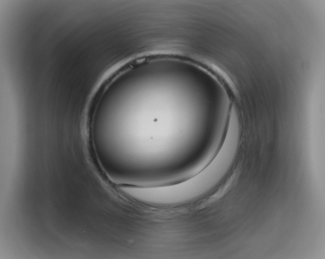 X0000115731077200911191407