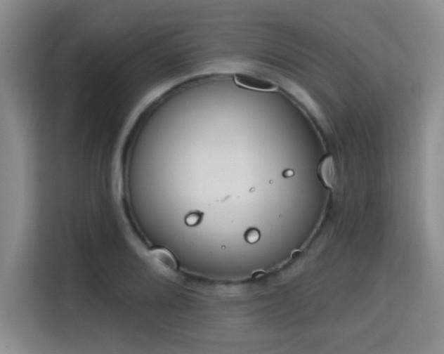 X0000115731080200911191407